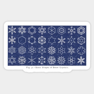 Snow Crystals Sticker